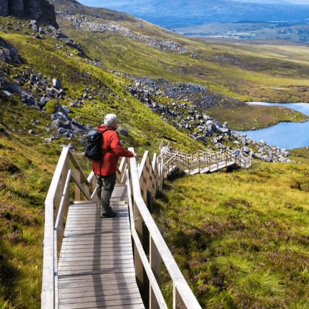 Forest Walks & Hikes