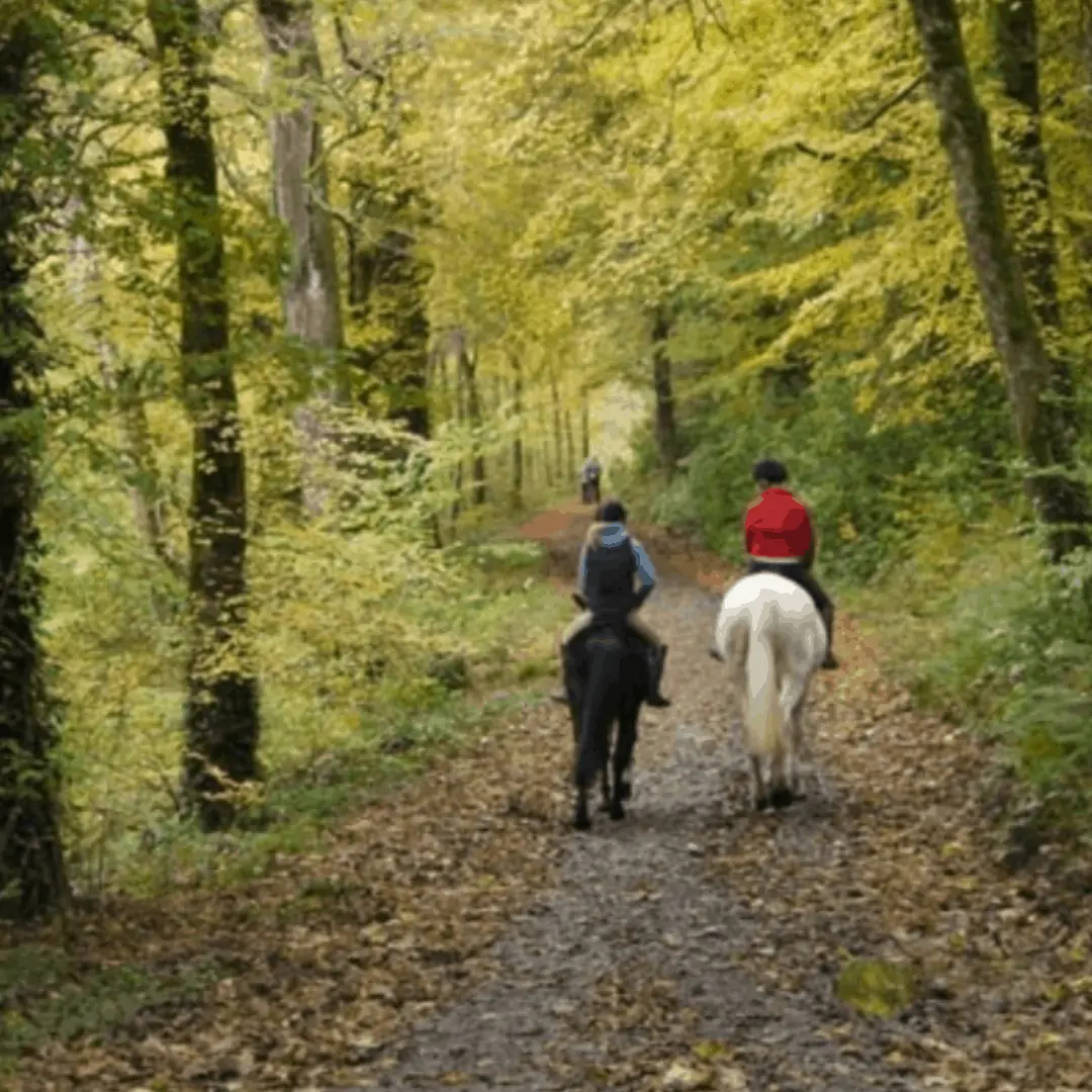 Equestrian Trails